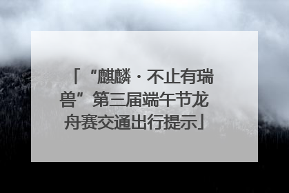 “麒麟・不止有瑞兽”第三届端午节龙舟赛交通出行提示