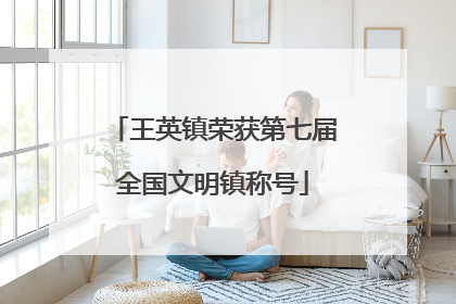 王英镇荣获第七届全国文明镇称号