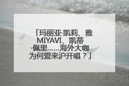 玛丽亚·凯莉、雅MIYAVI、凯蒂·佩里……海外大咖为何爱来沪开唱？