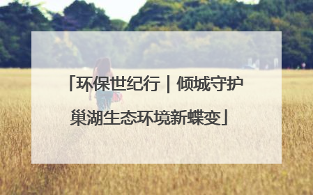 环保世纪行｜倾城守护 巢湖生态环境新蝶变