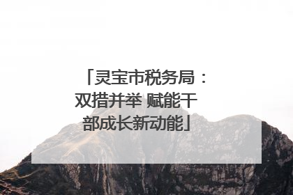 灵宝市税务局：双措并举 赋能干部成长新动能