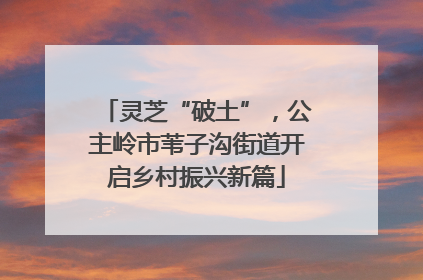 灵芝“破土”，公主岭市苇子沟街道开启乡村振兴新篇