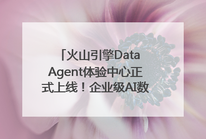 火山引擎Data Agent体验中心正式上线！企业级AI数据专家触手可及