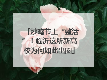 炒鸡节上“整活”！临沂这所新高校为何如此出圈