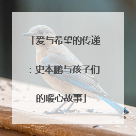 爱与希望的传递：史本鹏与孩子们的暖心故事
