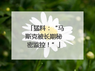 猛料：“马斯克被长期秘密监控！”
