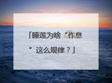 睡莲为啥“作息”这么规律？