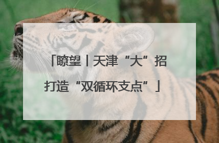 瞭望丨天津“大”招打造“双循环支点”
