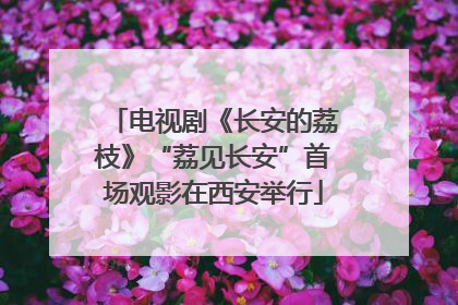 电视剧《长安的荔枝》“荔见长安”首场观影在西安举行