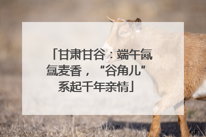 甘肃甘谷：端午氤氲麦香，“谷角儿”系起千年亲情