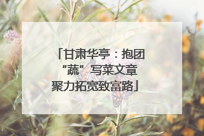甘肃华亭：抱团“蔬”写菜文章 聚力拓宽致富路