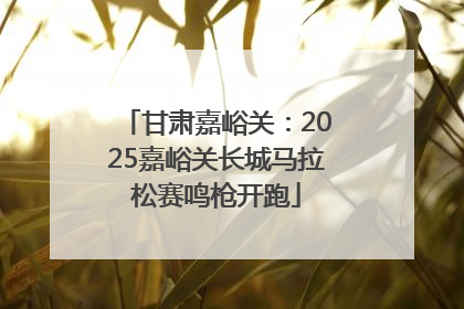 甘肃嘉峪关：2025嘉峪关长城马拉松赛鸣枪开跑
