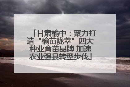 甘肃榆中：聚力打造“榆苗陇萃”四大种业育苗品牌 加速农业强县转型步伐