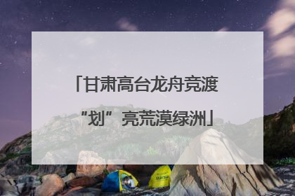 甘肃高台龙舟竞渡“划”亮荒漠绿洲