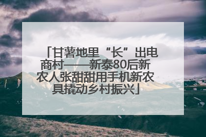甘薯地里“长”出电商村——新泰80后新农人张甜甜用手机新农具撬动乡村振兴