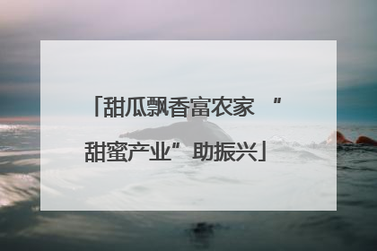 甜瓜飘香富农家 “甜蜜产业”助振兴
