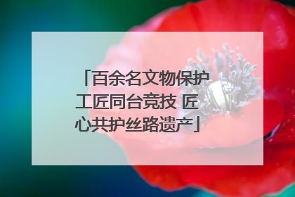 百余名文物保护工匠同台竞技 匠心共护丝路遗产