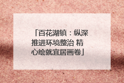 百花湖镇：纵深推进环境整治 精心绘就宜居画卷