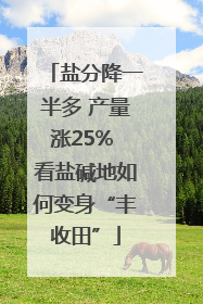 盐分降一半多 产量涨25% 看盐碱地如何变身“丰收田”