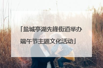 盐城亭湖先锋街道举办端午节主题文化活动
