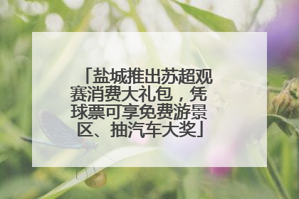 盐城推出苏超观赛消费大礼包，凭球票可享免费游景区、抽汽车大奖