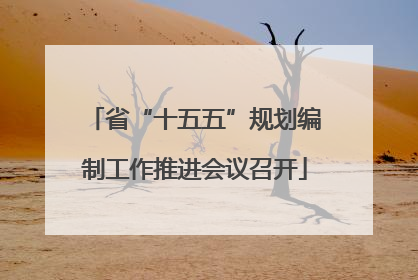 省“十五五”规划编制工作推进会议召开
