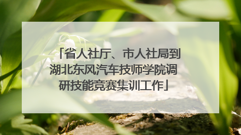 省人社厅、市人社局到湖北东风汽车技师学院调研技能竞赛集训工作