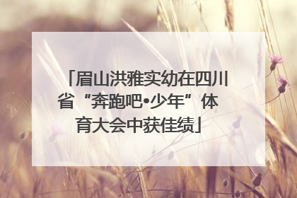 眉山洪雅实幼在四川省“奔跑吧•少年”体育大会中获佳绩