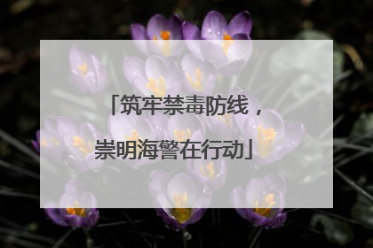 筑牢禁毒防线，崇明海警在行动