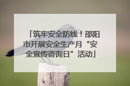 筑牢安全防线！邵阳市开展安全生产月“安全宣传咨询日”活动