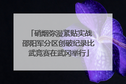 硝烟弥漫紧贴实战 邵阳军分区创破纪录比武竞赛在武冈举行