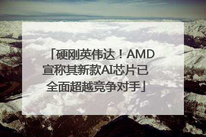 硬刚英伟达！AMD宣称其新款AI芯片已全面超越竞争对手
