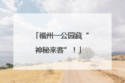 福州一公园藏“神秘来客”！