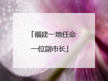 福建一地任命一位副市长