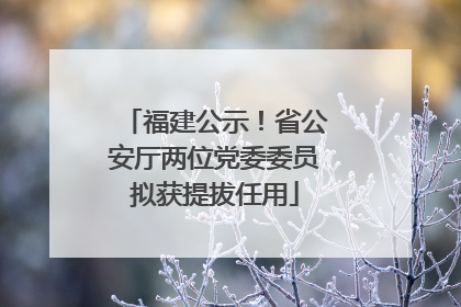 福建公示！省公安厅两位党委委员拟获提拔任用