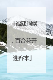 福建闽侯：百合花开迎客来