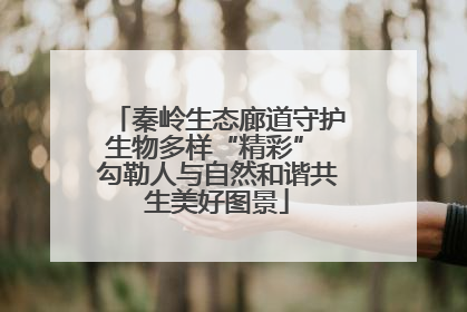 秦岭生态廊道守护生物多样“精彩” 勾勒人与自然和谐共生美好图景