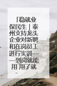 稳就业 保民生｜泰州支持龙头企业对新聘和在岗员工进行实训——到岗就能用 用了就见效