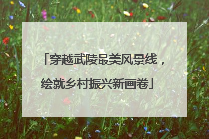 穿越武陵最美风景线，绘就乡村振兴新画卷