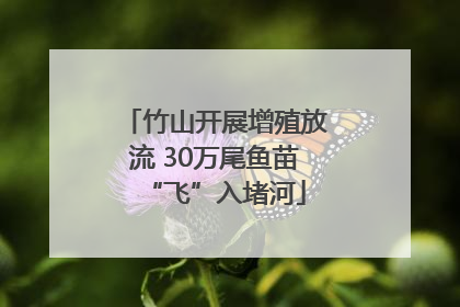 竹山开展增殖放流 30万尾鱼苗“飞”入堵河