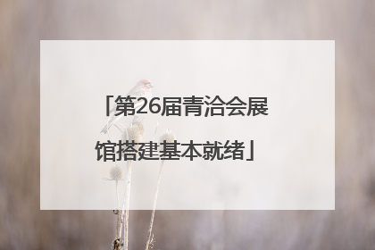 第26届青洽会展馆搭建基本就绪