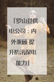 罗山县供电公司：内外兼顾 提升防汛保电能力