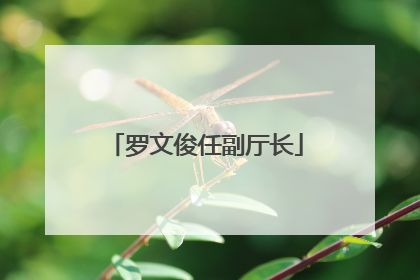罗文俊任副厅长