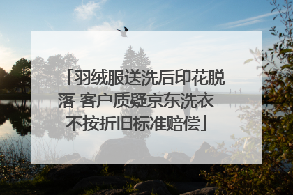 羽绒服送洗后印花脱落 客户质疑京东洗衣不按折旧标准赔偿