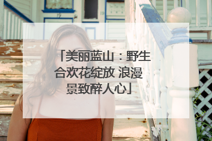 美丽蓝山：野生合欢花绽放 浪漫景致醉人心