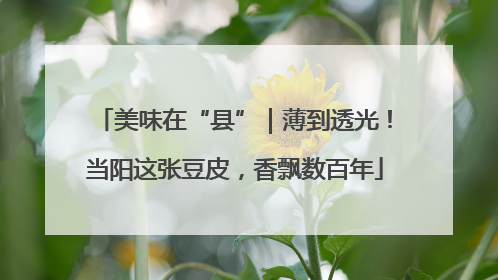 美味在“县”｜薄到透光！当阳这张豆皮，香飘数百年