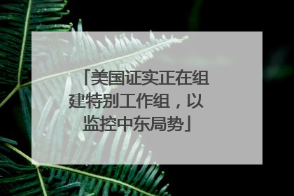 美国证实正在组建特别工作组，以监控中东局势
