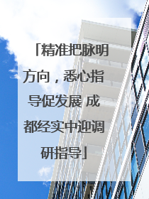 精准把脉明方向，悉心指导促发展 成都经实中迎调研指导