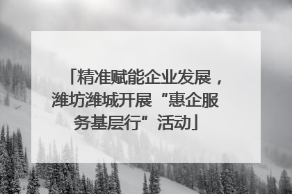 精准赋能企业发展，潍坊潍城开展“惠企服务基层行”活动