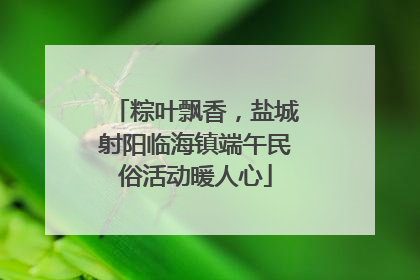粽叶飘香，盐城射阳临海镇端午民俗活动暖人心